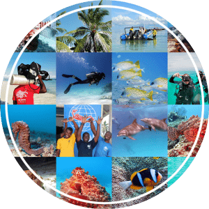 Zanzibar Diving Prices · Special Offers