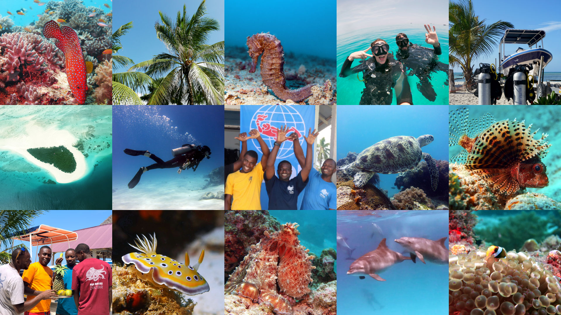 Dive into Zanzibar and Pemba Islands at unbeatable offers: Book your underwater adventure with Fun Divers Zanzibar!